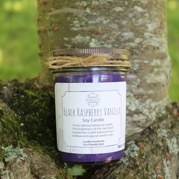 Black Raspberry Vanilla Soy Candle