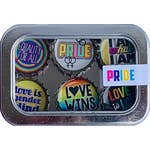 LGBTQ+ Pride Magnet - Six Pack