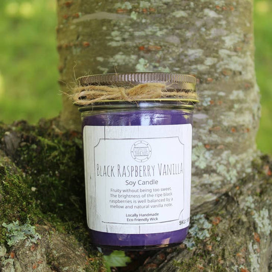 Black Raspberry Vanilla Soy Candle